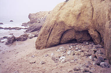 Cove