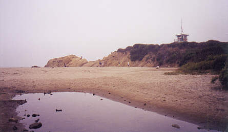 Leo Carillo
