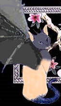 winged cat
