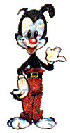 yakko