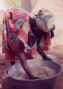 Mama cleaning millet