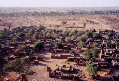 Teli