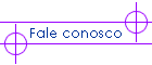 Fale conosco