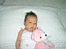 Dsc00609.jpg