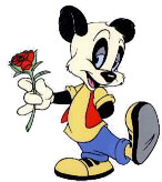 andy