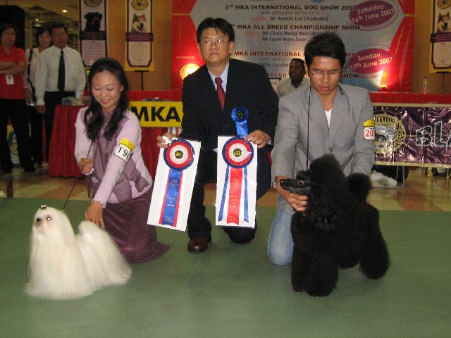 Judging
