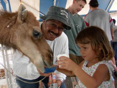 FEEDING THE CAMEL...
