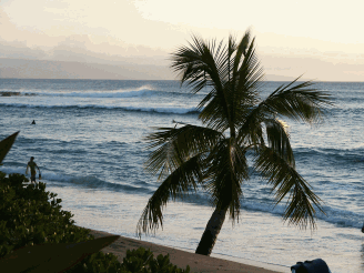 Maui: NaPili Coast