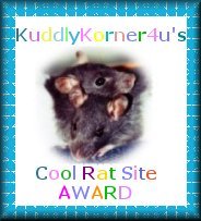 Kuddly Korner
