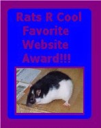 Rats R Cool