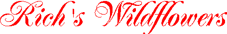 banner1.gif