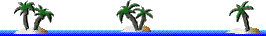 palm bar