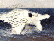USS Alexandria