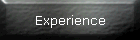 Experience