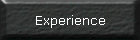 Experience