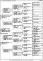 family tree