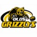 Official Website