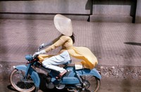 MotorbikeGirl.jpg
250.25 KB 
