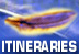 Itineraries