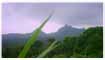 Mt. Batulao