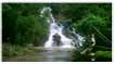 Earthaven, San Mateo, Rizal - Tribute of Jas