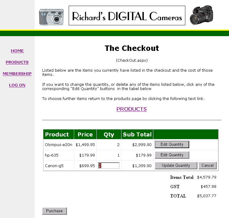 Checkout Page