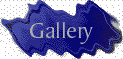 Watercolor Gallery