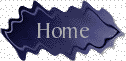 Return to the Home Page