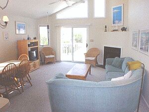 view from dining room