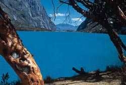 Laguna Llanganuco