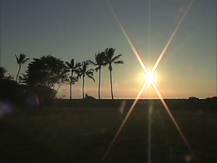 My new backyard! 
