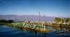 myanmar_inle_floating_veges.jpg (54395 bytes)
