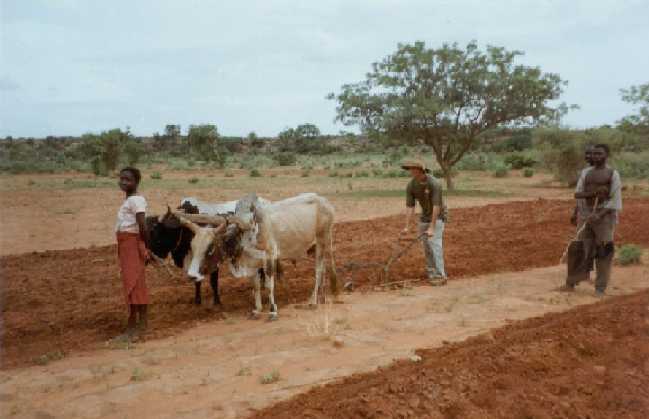 tilling the land
