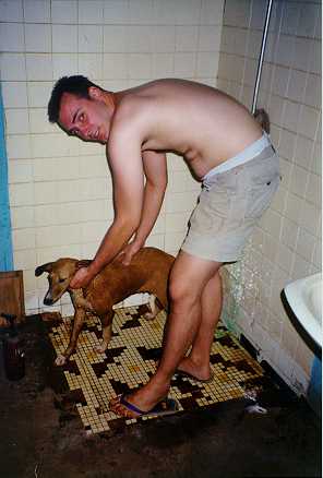 time to wash the dog