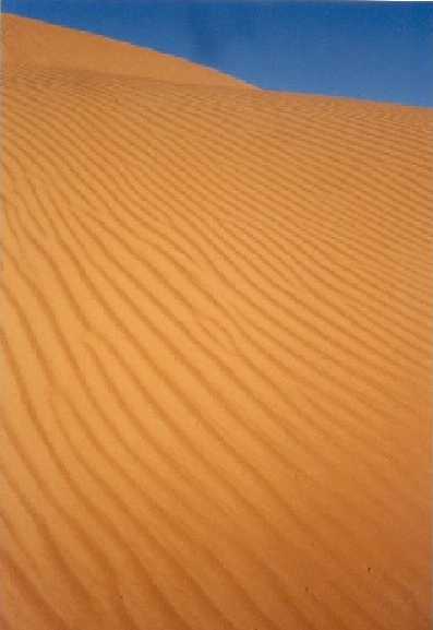 beautiful dune
