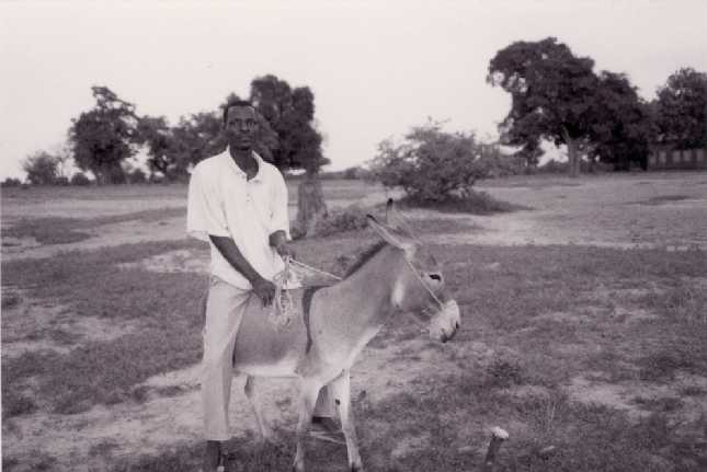 my good friend Sylvestre