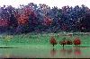 Fall 1998/Columbia, MO