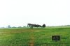 P-40 Warhawk