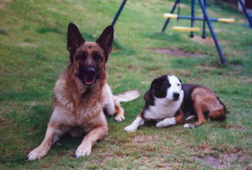 Anja and Sam