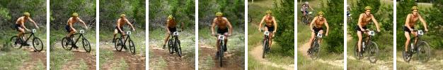 Single track, ducking branches