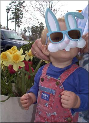 buny