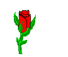 redros.gif