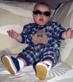 shades