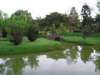 Photo Number 50