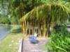 Photo Number 6