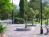 Photo Number 9