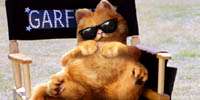 Garfield on DVD