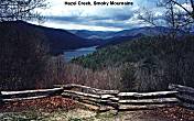 Hazel Creek Smoky Mountains