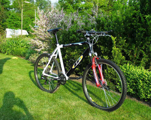 Batavus B1 gestolen in Enschede - Mountainbike.nl