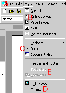 The View Menu
